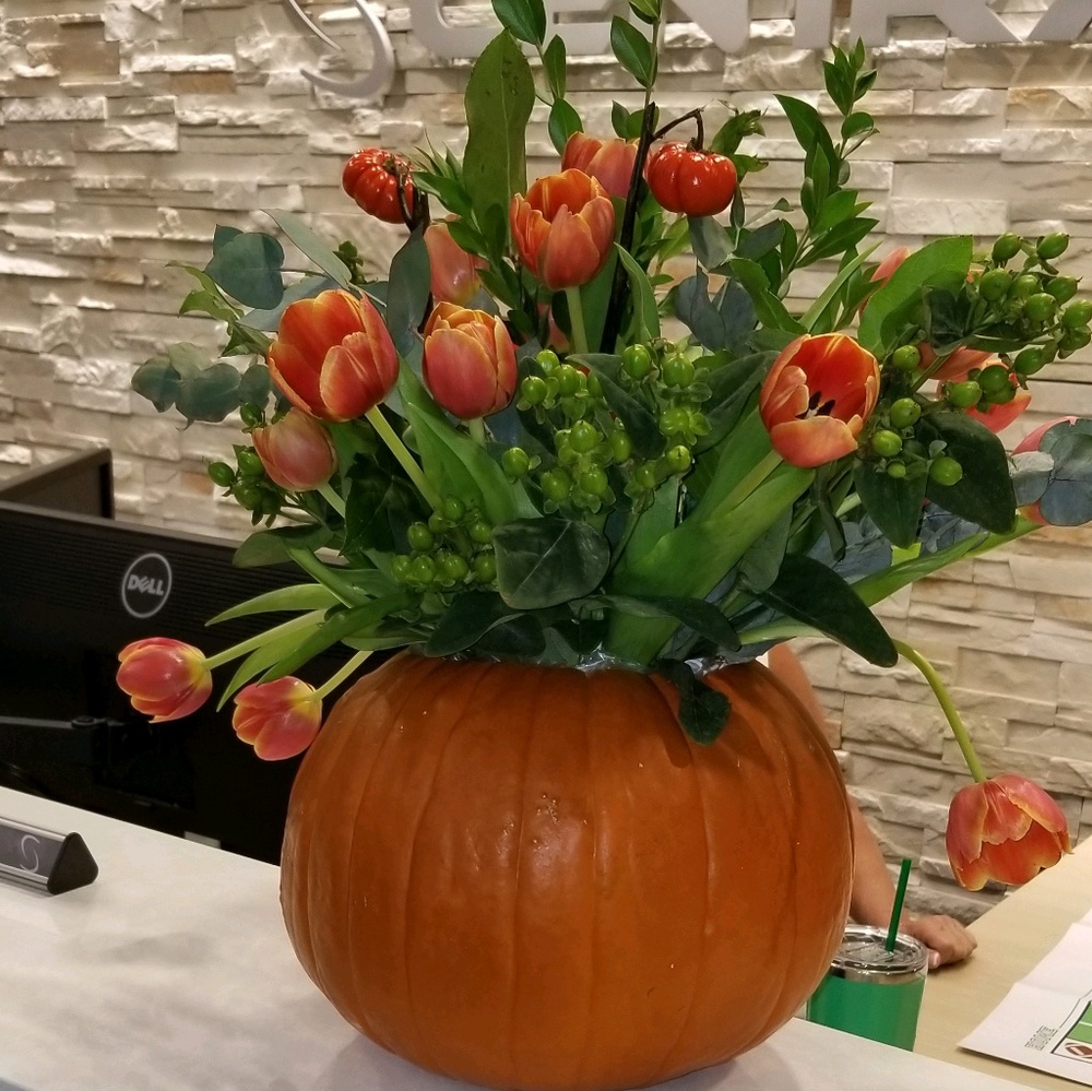 Meet your Posher, Lisa